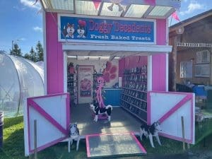 State fair