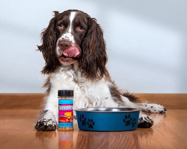 Happy Dog with Sprinkles